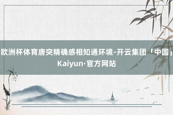 欧洲杯体育唐突精确感相知通环境-开云集团「中国」Kaiyun·官方网站