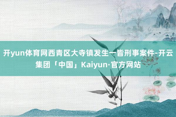 开yun体育网西青区大寺镇发生一皆刑事案件-开云集团「中国」Kaiyun·官方网站