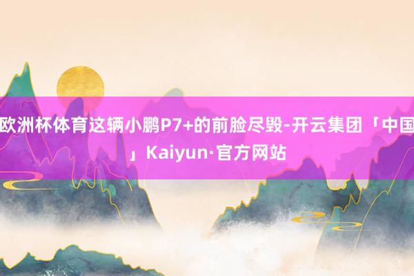 欧洲杯体育这辆小鹏P7+的前脸尽毁-开云集团「中国」Kaiyun·官方网站