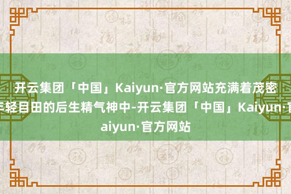 开云集团「中国」Kaiyun·官方网站充满着茂密朝气、年轻目田的后生精气神中-开云集团「中国」Kaiyun·官方网站