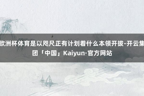 欧洲杯体育是以咫尺正有计划着什么本领开拔-开云集团「中国」Kaiyun·官方网站