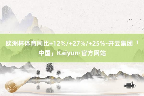 欧洲杯体育同比+12%/+27%/+25%-开云集团「中国」Kaiyun·官方网站